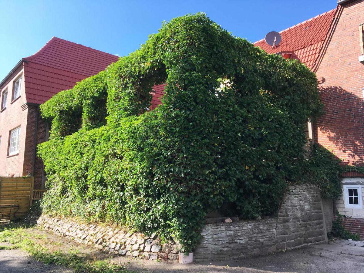 Hotel Gaestehaus Am Herrendeich Nordstrand Exterior foto